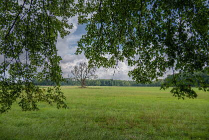 Img 20250730 121517