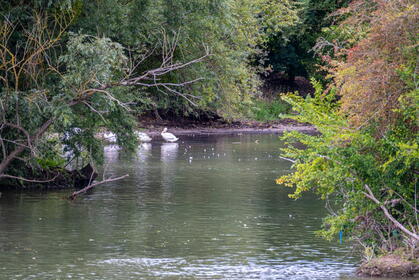 Img 20250830 151900
