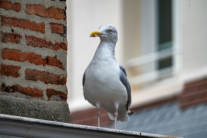 Img 20250831 162217 01