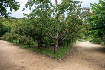 Img 20250902 151418