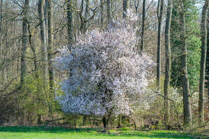 Img 20260322 133648