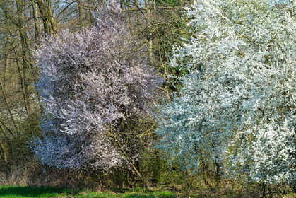 Img 20260322 133757