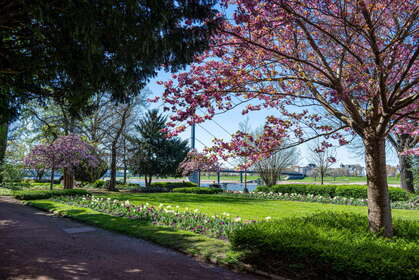 Img 20260407 112652
