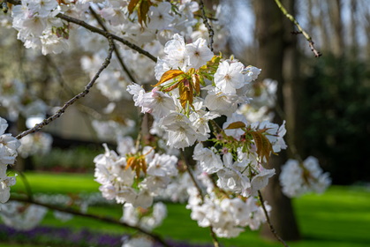 Img 20260404 101616