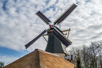 Img 20260404 095250