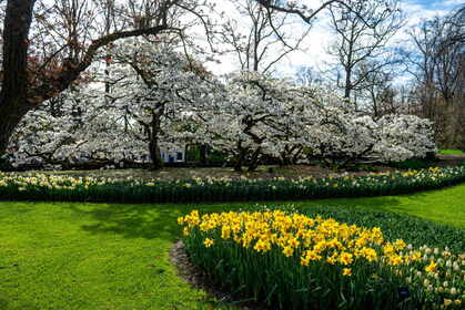 Img 20260404 095546