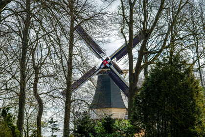 Img 20260404 094951