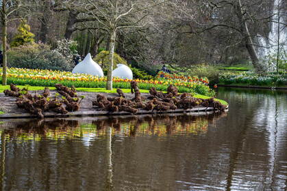 Img 20260404 091131