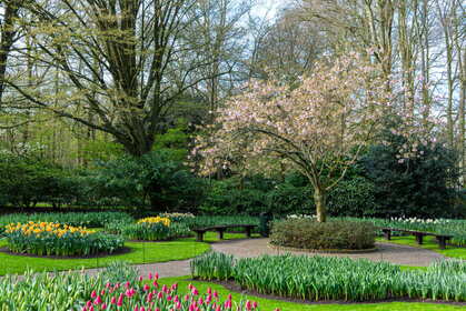 Img 20260404 085854