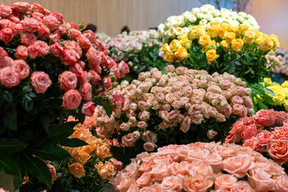 Img 20260404 084907