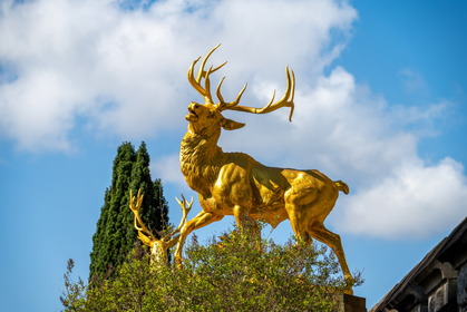 Img 20260402 101328