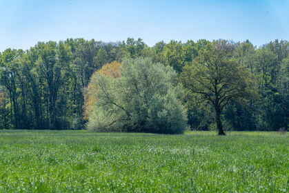 Img 20260423 105407