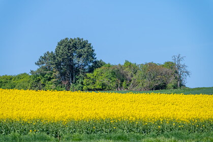 Img 20260423 111518