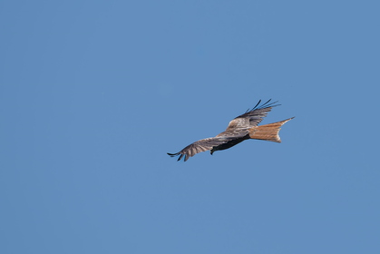 Img 20260425 152238