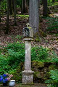 Img 20260617 144751