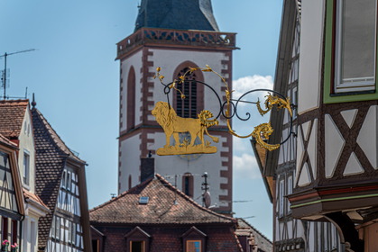 Img 20260716 115107