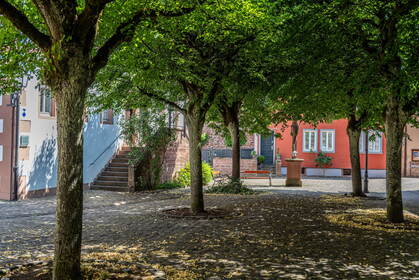 Img 20260716 121253